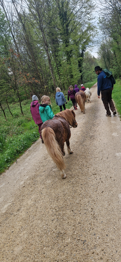 Ponymorgen Roggenhausen