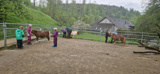 Ponymorgen Roggenhausen