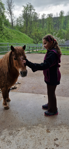 Ponymorgen Roggenhausen