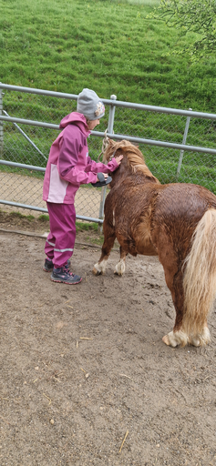 Ponymorgen Roggenhausen