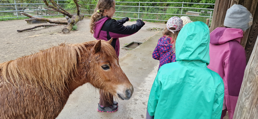 Ponymorgen Roggenhausen