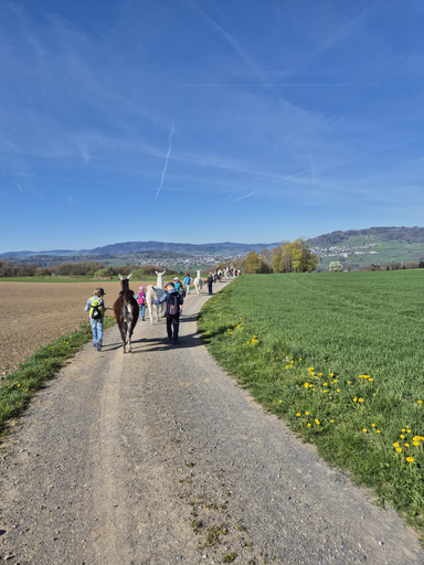 Lama Trecking Schongau