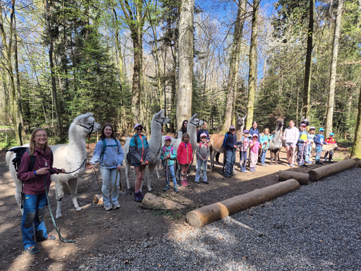 Lama Trecking Schongau