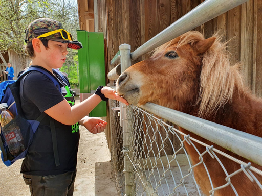 Wildparkführung Roggenhausen