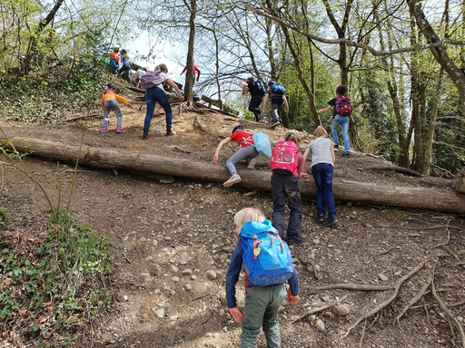 Wildparkführung Roggenhausen