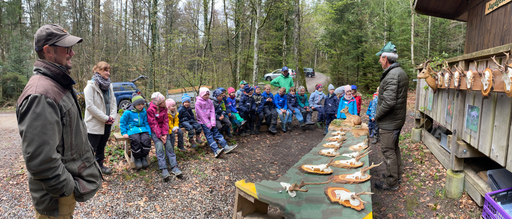 Mit dem Jäger durch den Wald