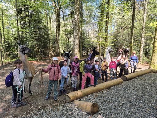 Lama Trecking Schongau