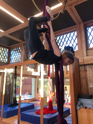 Circus Magnolia