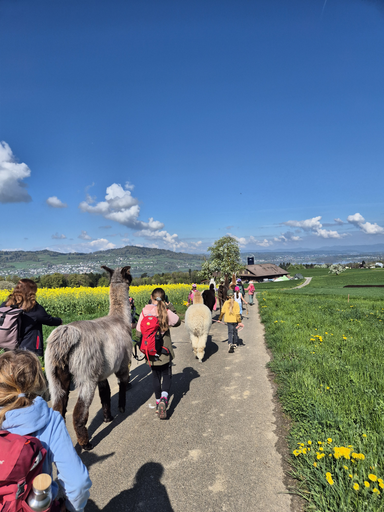 Lama Trecking Schongau