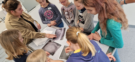 Besuch Tierklinik Aarau West