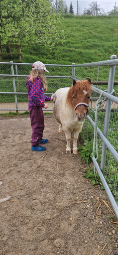 Ponymorgen Roggenhausen