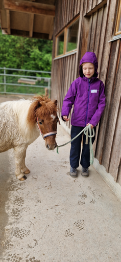 Ponymorgen Roggenhausen